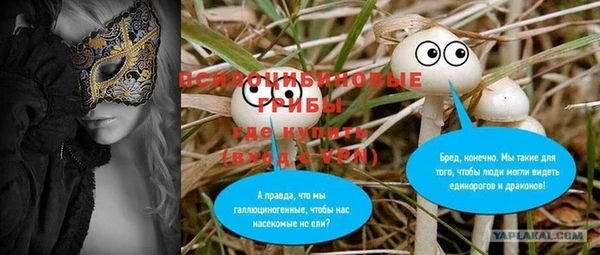дурь Лихославль