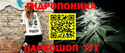 прущие грибы Балашиха