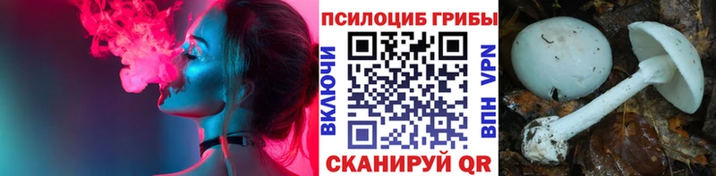 МЕГА зеркало  магазин    Урюпинск  Псилоцибиновые грибы Psilocybe 