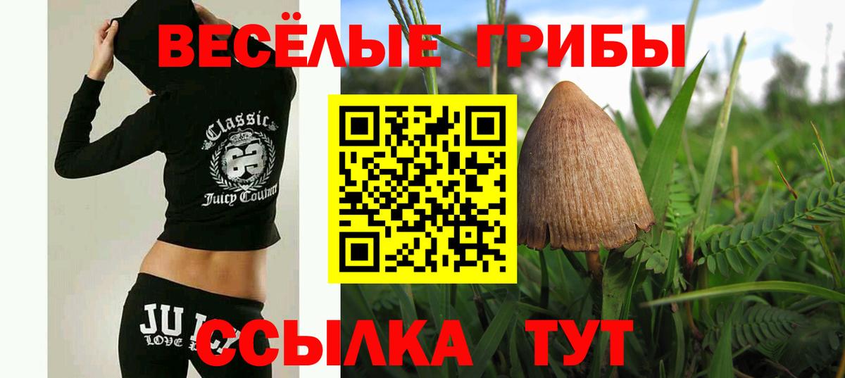Галлюциногенные грибы мицелий Урюпинск