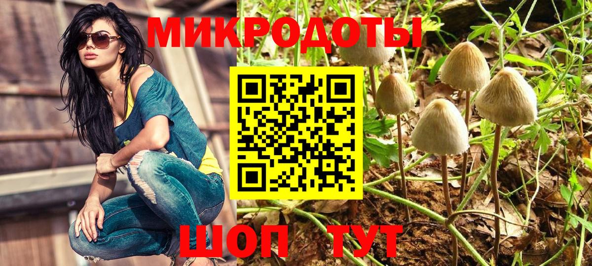 Урюпинск  наркотики  Галлюциногенные грибы Magic Shrooms  Вход с VPN  Псилоцибиновые грибы GOLDEN TEACHER 
